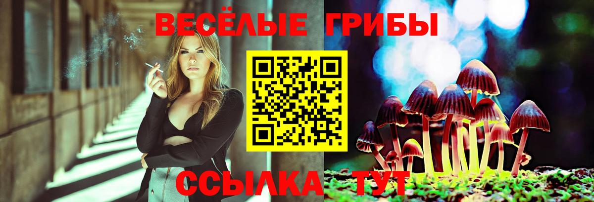 Лобня  Галлюциногенные грибы MAGIC MUSHROOMS  Вход с VPN  Галлюциногенные грибы GOLDEN TEACHER 