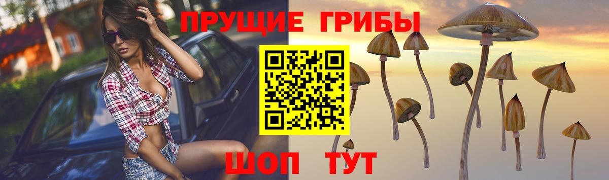 Псилоцибиновые грибы ЛСД Лобня